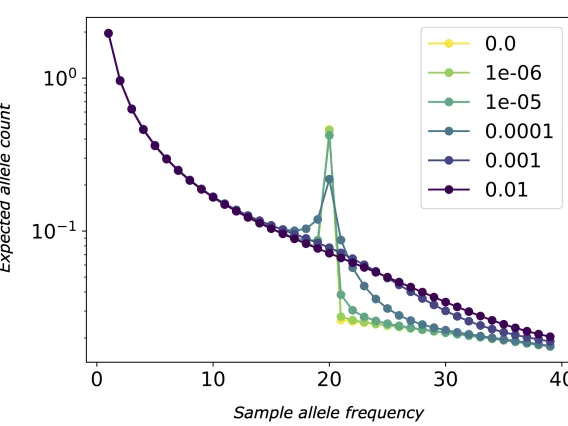 Effect of allelic exchange on collapsed SFS