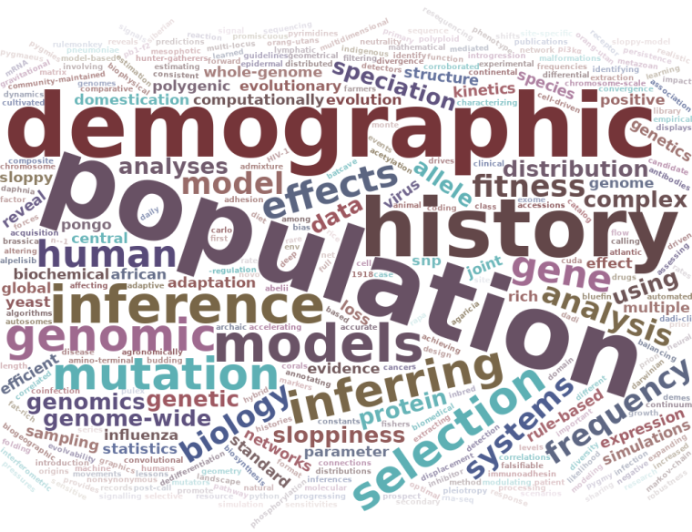 Word cloud based on paper titles