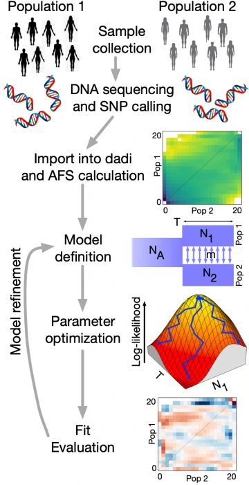 General inference workflow